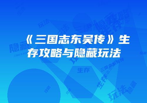 《三国志东吴传》生存攻略与隐藏玩法