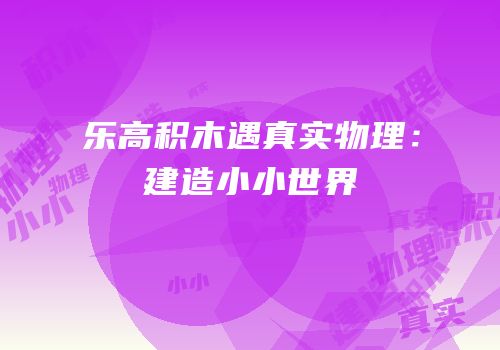 乐高积木遇真实物理：建造小小世界