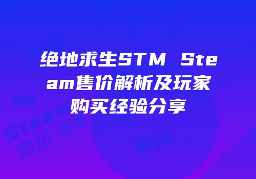 绝地求生STM Steam售价解析及玩家购买经验分享