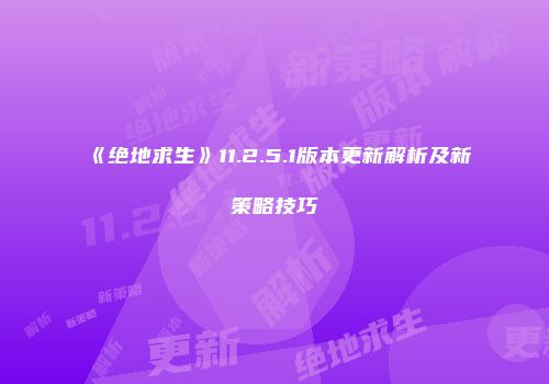 《绝地求生》11.2.5.1版本更新解析及新策略技巧