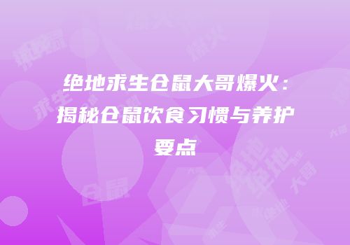 绝地求生仓鼠大哥爆火：揭秘仓鼠饮食习惯与养护要点