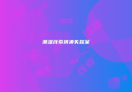 潮湿线索拼凑失踪案