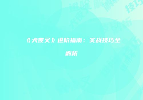 《犬夜叉》进阶指南：实战技巧全解析