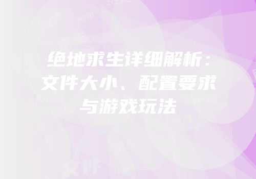 绝地求生详细解析：文件大小、配置要求与游戏玩法