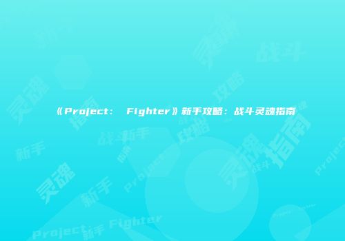 《Project： Fighter》新手攻略：战斗灵魂指南