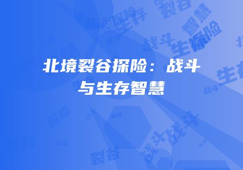 北境裂谷探险：战斗与生存智慧