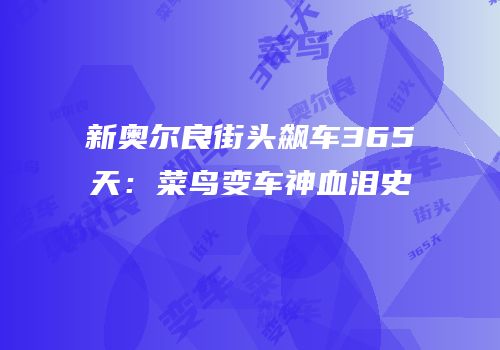 新奥尔良街头飙车365天：菜鸟变车神血泪史