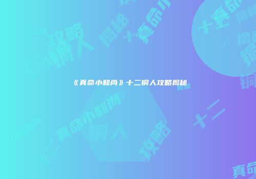 《真命小和尚》十二铜人攻略揭秘