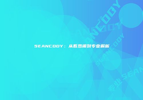 SEANCODY：从看热闹到专业解析
