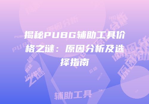 揭秘PUBG辅助工具价格之谜：原因分析及选择指南