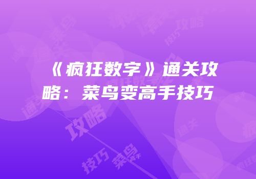 《疯狂数字》通关攻略：菜鸟变高手技巧