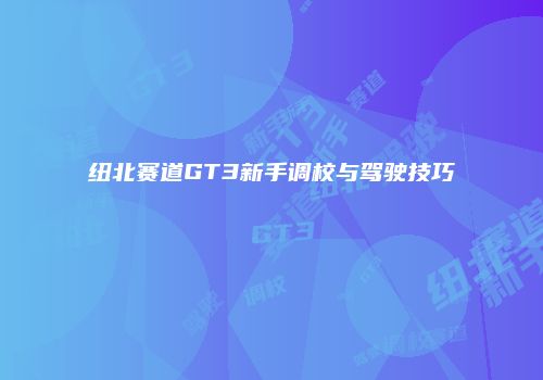 纽北赛道GT3新手调校与驾驶技巧