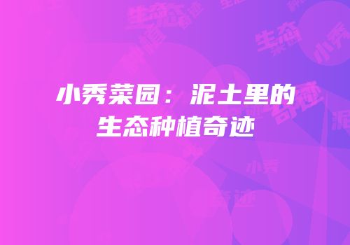 小秀菜园：泥土里的生态种植奇迹