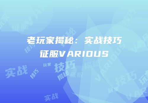 老玩家揭秘：实战技巧征服VARIOUS