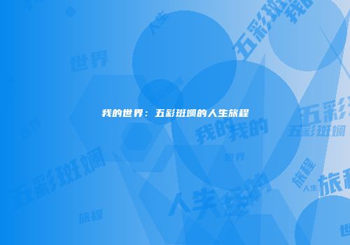 我的世界：五彩斑斓的人生旅程