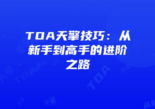 TOA天擎技巧：从新手到高手的进阶之路