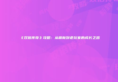 《双倍传奇》攻略：从萌新到老玩家的成长之路