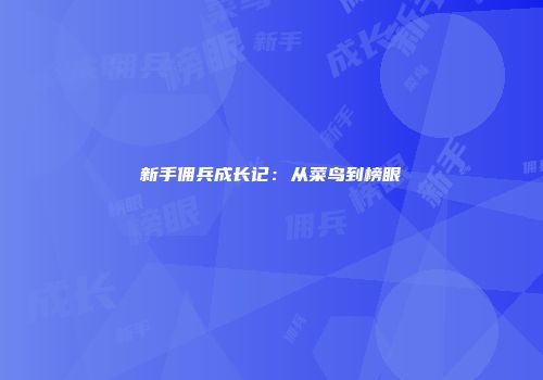 新手佣兵成长记：从菜鸟到榜眼