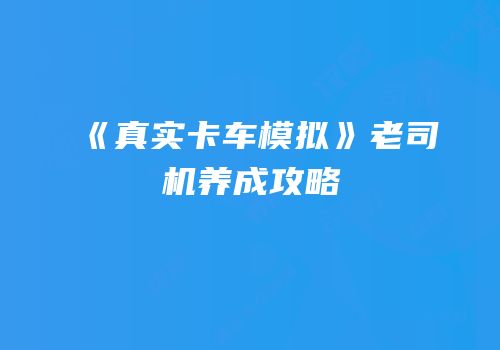 《真实卡车模拟》老司机养成攻略