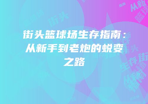 街头篮球场生存指南：从新手到老炮的蜕变之路