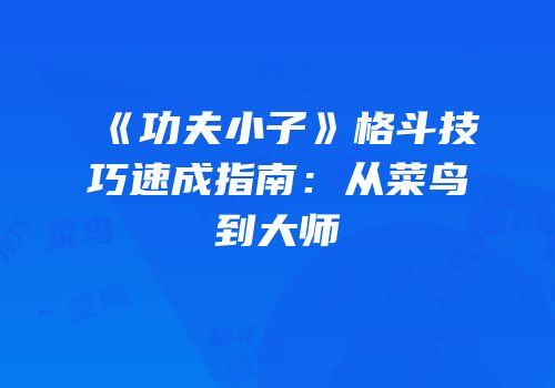 《功夫小子》格斗技巧速成指南：从菜鸟到大师