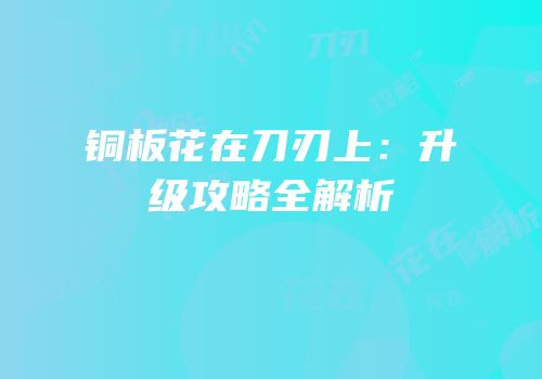 铜板花在刀刃上：升级攻略全解析