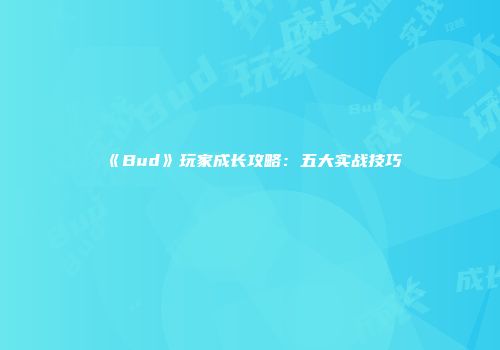 《Bud》玩家成长攻略：五大实战技巧