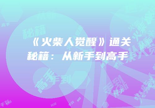 《火柴人觉醒》通关秘籍：从新手到高手