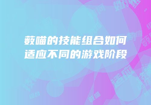 薮喵的技能组合如何适应不同的游戏阶段
