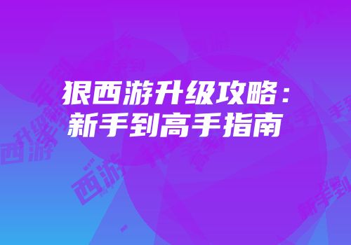 狠西游升级攻略：新手到高手指南