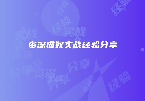 资深猫奴实战经验分享
