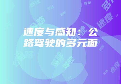速度与感知：公路驾驶的多元面