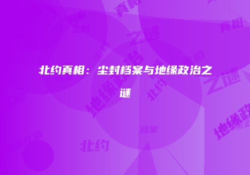 北约真相：尘封档案与地缘政治之谜