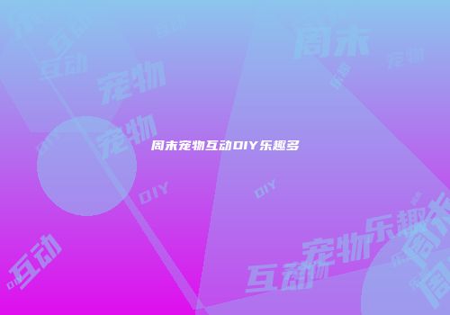 周末宠物互动DIY乐趣多