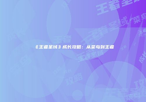 《王者圣域》成长攻略：从菜鸟到王者