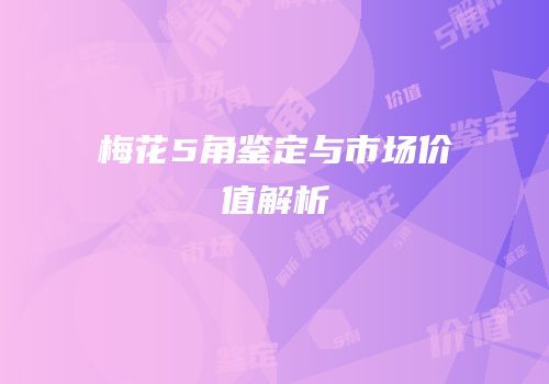 梅花5角鉴定与市场价值解析
