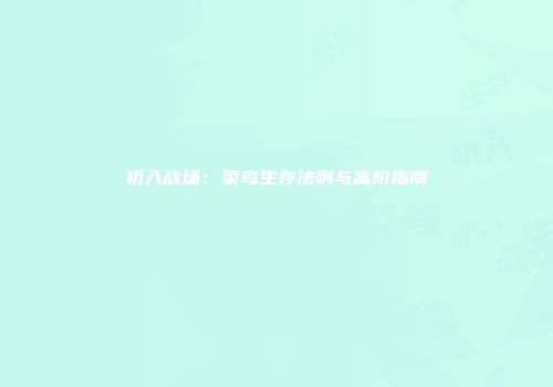初入战场：菜鸟生存法则与高阶指南