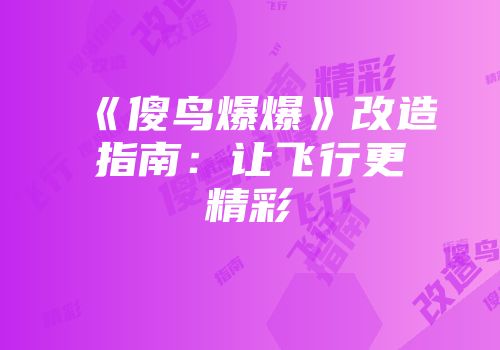 《傻鸟爆爆》改造指南：让飞行更精彩