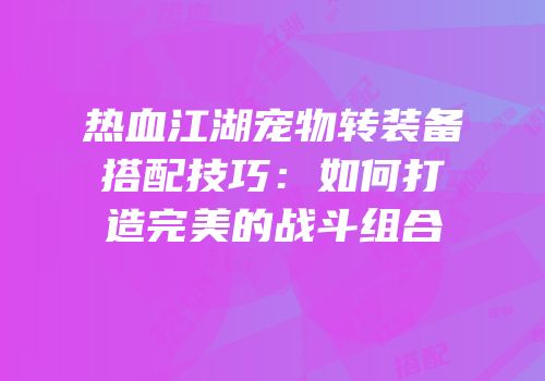 热血江湖宠物转装备搭配技巧：如何打造完美的战斗组合