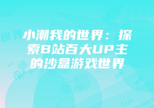 小潮我的世界：探索B站百大UP主的沙盒游戏世界