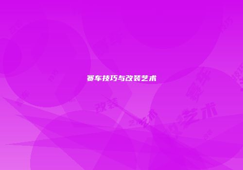 赛车技巧与改装艺术