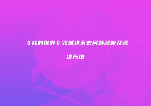 《我的世界》领域进不去问题解析及解决方法