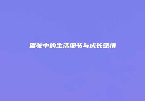 驾驶中的生活细节与成长感悟