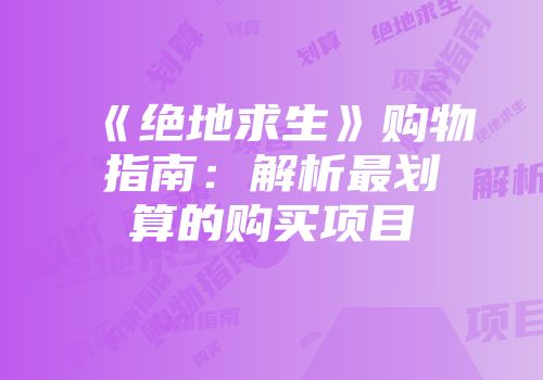 《绝地求生》购物指南：解析最划算的购买项目