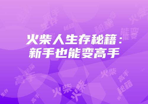 火柴人生存秘籍：新手也能变高手