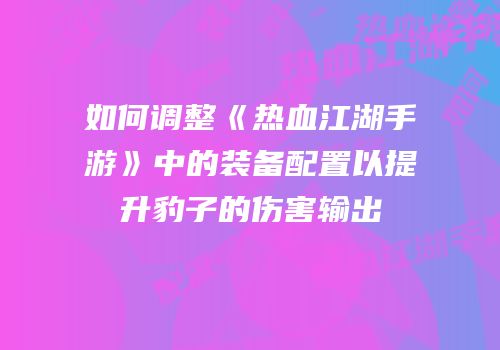 如何调整《热血江湖手游》中的装备配置以提升豹子的伤害输出