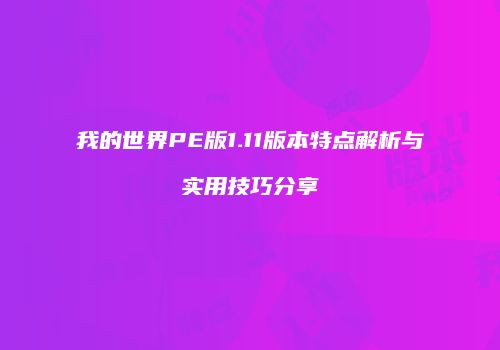 我的世界PE版1.11版本特点解析与实用技巧分享