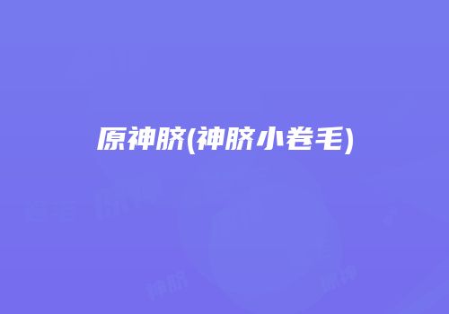 原神脐(神脐小卷毛)