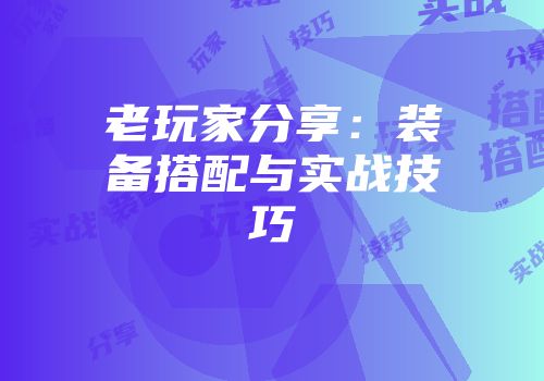 老玩家分享：装备搭配与实战技巧