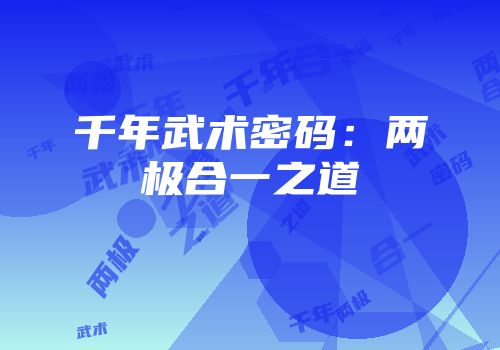 千年武术密码：两极合一之道